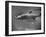 Barracuda Swimming Through the Ocean-null-Framed Photographic Print