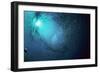 Barracuda-null-Framed Photographic Print