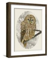 Barred Owl I-Melissa Wang-Framed Art Print