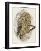 Barred Owl I-Melissa Wang-Framed Art Print