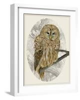 Barred Owl I-Melissa Wang-Framed Art Print