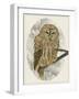 Barred Owl I-Melissa Wang-Framed Art Print