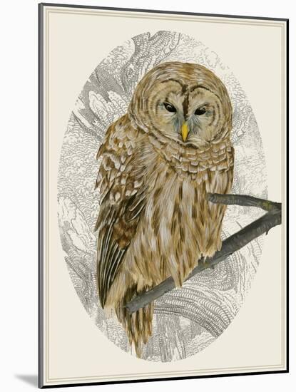 Barred Owl I-Melissa Wang-Mounted Art Print