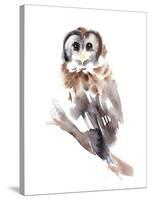 Barred Owl Impressions II-Annie Warren-Stretched Canvas