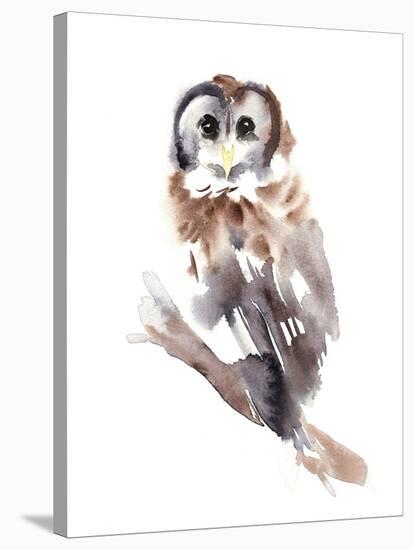 Barred Owl Impressions II-Annie Warren-Stretched Canvas