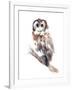 Barred Owl Impressions II-Annie Warren-Framed Art Print