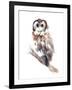 Barred Owl Impressions II-Annie Warren-Framed Art Print