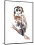 Barred Owl Impressions II-Annie Warren-Mounted Art Print