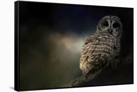 Barred Owl on a Winter Night-Jai Johnson-Framed Stretched Canvas