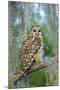 Barred Owl (Strix Varia) in Bald Cypress Forest on Caddo Lake, Texas, USA-Larry Ditto-Mounted Photographic Print