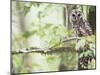 Barred Owl, Vacharie, Louisiana, USA-Rob Tilley-Mounted Photographic Print