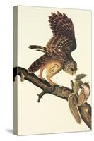 Barred Owl-John James Audubon-Stretched Canvas