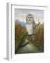 Barred Owl-Robert Wavra-Framed Giclee Print