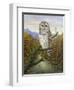 Barred Owl-Robert Wavra-Framed Giclee Print