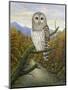 Barred Owl-Robert Wavra-Mounted Giclee Print