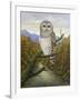 Barred Owl-Robert Wavra-Framed Giclee Print