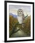 Barred Owl-Robert Wavra-Framed Giclee Print