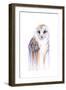 Barred Rainbow Owl-Michelle Faber-Framed Giclee Print