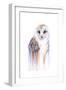 Barred Rainbow Owl-Michelle Faber-Framed Giclee Print