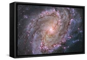 Barred Spiral Galaxy Messier 83-null-Framed Stretched Canvas