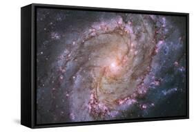 Barred Spiral Galaxy Messier 83-null-Framed Stretched Canvas