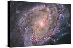 Barred Spiral Galaxy Messier 83-null-Stretched Canvas