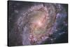 Barred Spiral Galaxy Messier 83-null-Stretched Canvas