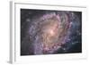 Barred Spiral Galaxy Messier 83-null-Framed Photographic Print