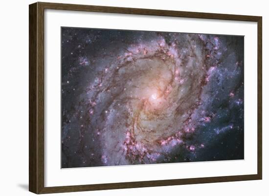 Barred Spiral Galaxy Messier 83-null-Framed Photographic Print