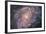 Barred Spiral Galaxy Messier 83-null-Framed Photographic Print