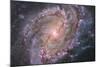 Barred Spiral Galaxy Messier 83-null-Mounted Photographic Print