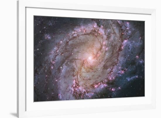 Barred Spiral Galaxy Messier 83-null-Framed Photographic Print