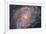 Barred Spiral Galaxy Messier 83-null-Framed Photographic Print