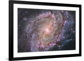 Barred Spiral Galaxy Messier 83-null-Framed Photographic Print