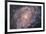 Barred Spiral Galaxy Messier 83-null-Framed Photographic Print