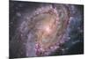 Barred Spiral Galaxy Messier 83-null-Mounted Photographic Print