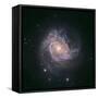 Barred Spiral Galaxy Messier 83-null-Framed Stretched Canvas