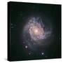 Barred Spiral Galaxy Messier 83-null-Stretched Canvas