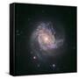 Barred Spiral Galaxy Messier 83-null-Framed Stretched Canvas