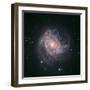 Barred Spiral Galaxy Messier 83-null-Framed Photographic Print