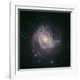 Barred Spiral Galaxy Messier 83-null-Framed Photographic Print