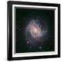 Barred Spiral Galaxy Messier 83-null-Framed Photographic Print