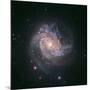 Barred Spiral Galaxy Messier 83-null-Mounted Photographic Print