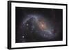 Barred Spiral Galaxy NGC 1672 in the Constellation Dorado-null-Framed Photographic Print