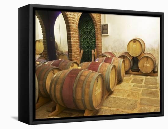 Barrel Aging Cellar, Vinedos Y Bodega Filgueira Winery, Cuchilla Verde-Per Karlsson-Framed Stretched Canvas