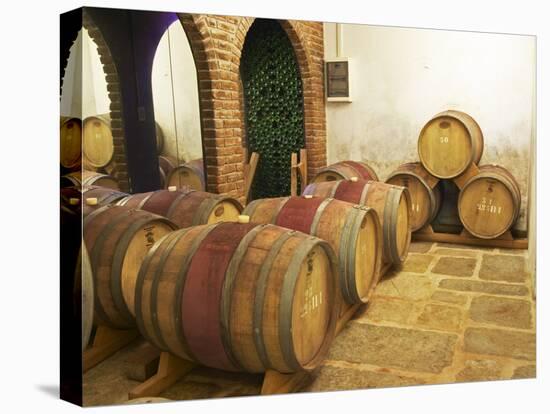 Barrel Aging Cellar, Vinedos Y Bodega Filgueira Winery, Cuchilla Verde-Per Karlsson-Stretched Canvas