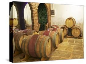 Barrel Aging Cellar, Vinedos Y Bodega Filgueira Winery, Cuchilla Verde-Per Karlsson-Stretched Canvas