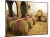 Barrel Aging Cellar, Vinedos Y Bodega Filgueira Winery, Cuchilla Verde-Per Karlsson-Mounted Photographic Print