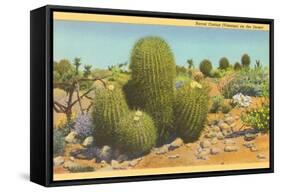 Barrel Cactus-null-Framed Stretched Canvas
