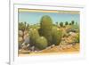 Barrel Cactus-null-Framed Art Print